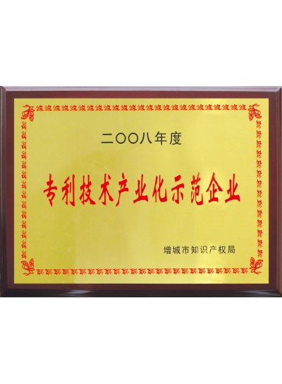 Patented Technology Industrialization Demonstration Enterprise