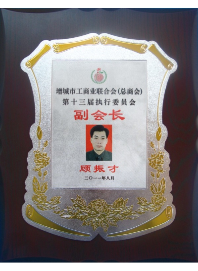 Vice Chairman of the Executive Committee of the Federation of Industry and Commerce (China General Chamber of Commerce)